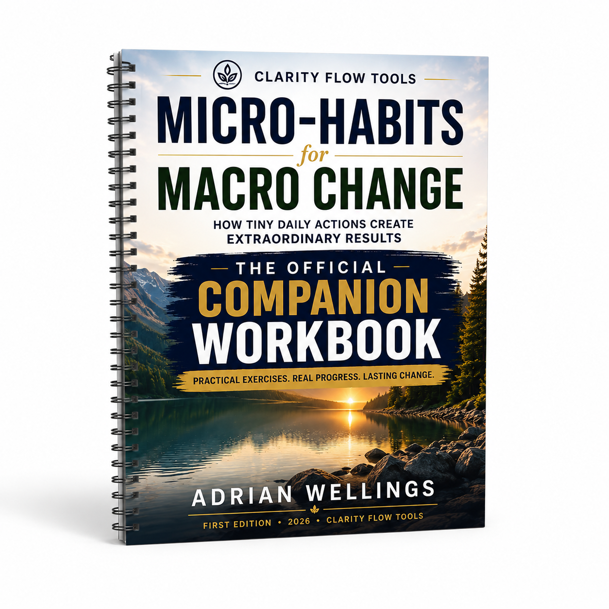 Micro-Habits for Macro Change Companion Workbook
